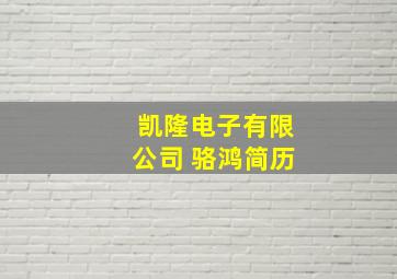 凯隆电子有限公司 骆鸿简历